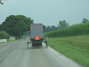 Amish horse and buggy